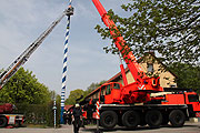 neuer Maibaum im Leiberheim 2013 (Foto: Martin Schmitz)